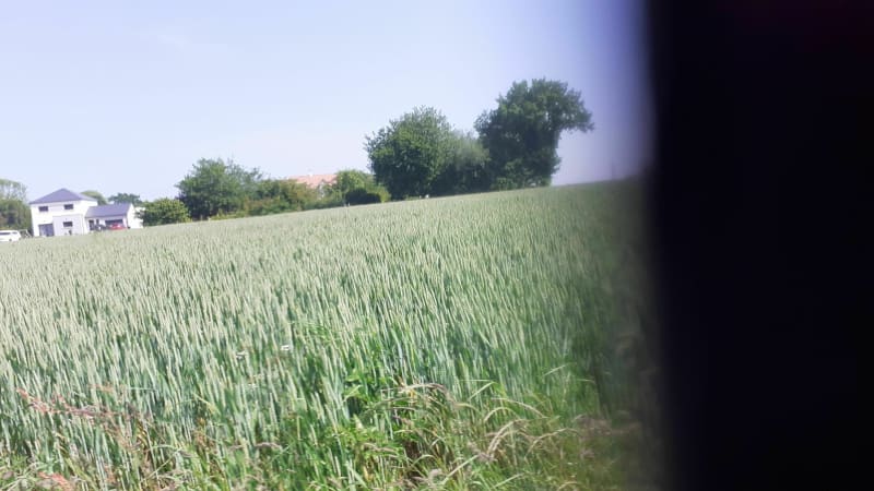 Balade en campagne à la Lucerne d'Outremer - La Lucerne-d'Outremer