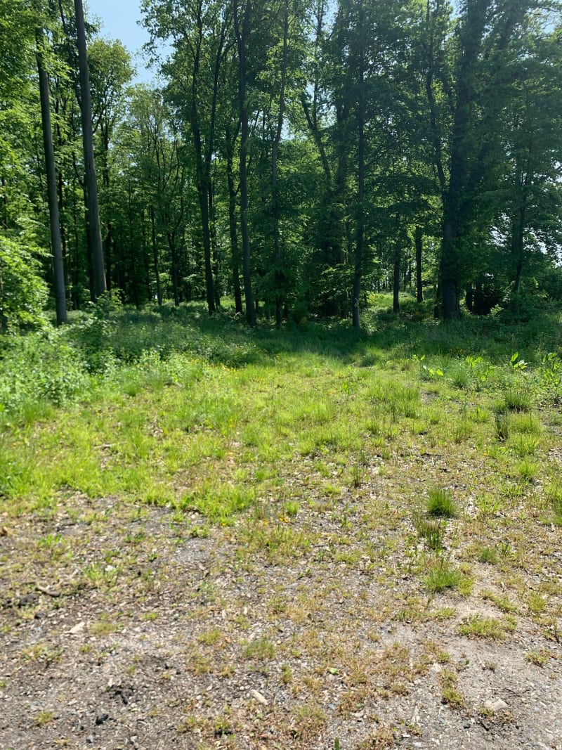 Vtt dans Mormal - Preux-au-Bois