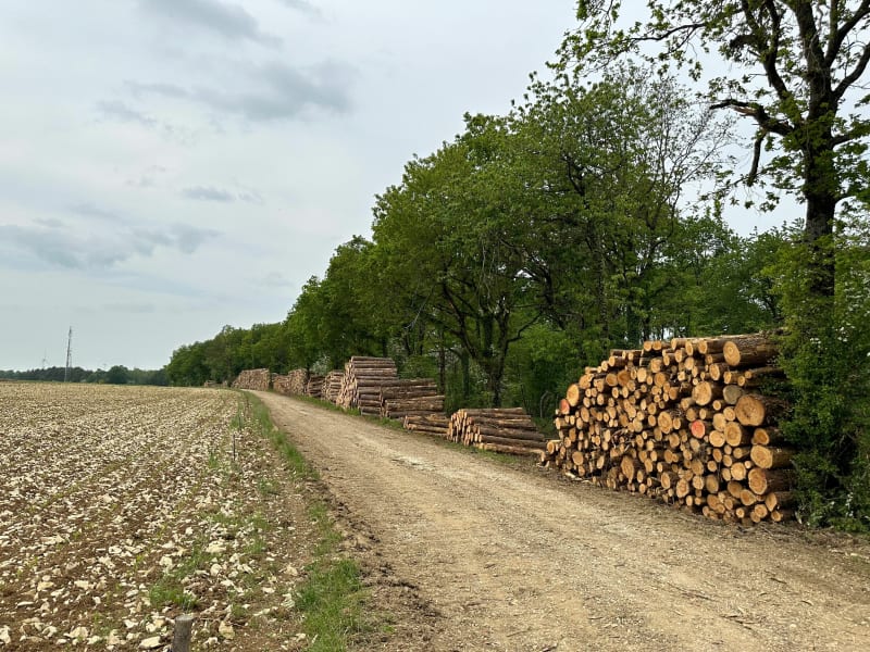 Histoire et balade à pieds à Génicourt-sur-Meuse - Génicourt-sur-Meuse
