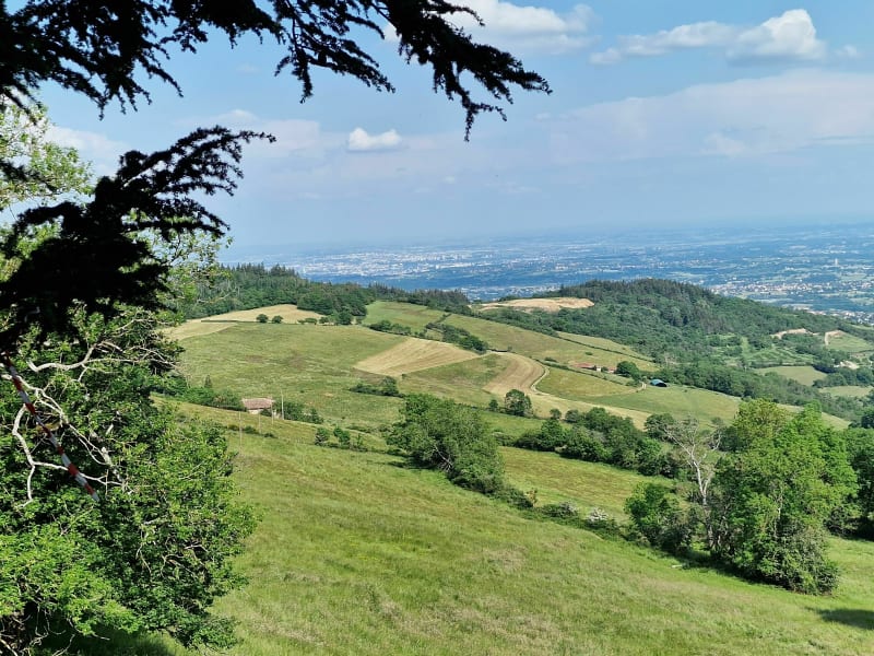 Balade familiale Malval Saint  Bonnet le Froid - Courzieu