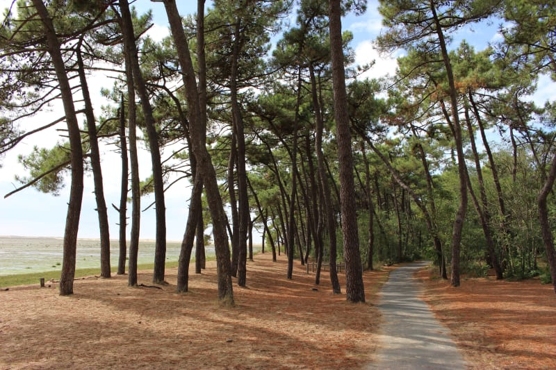 Balade à vélo entre Vaux-sur-Mer et La Palmyre - Royan
