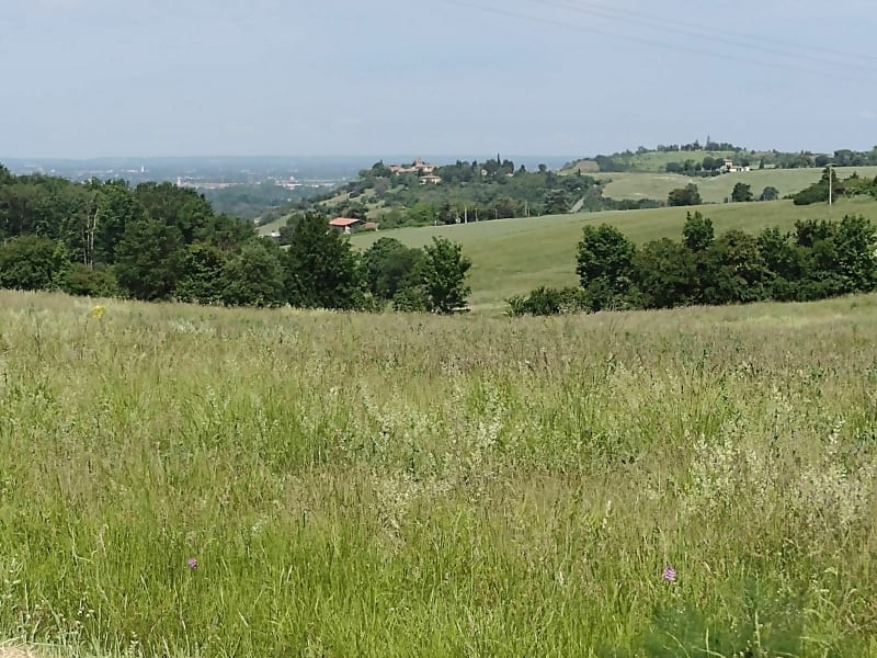 Petit tour sur les crêtes depuis Le Vernet - Venerque