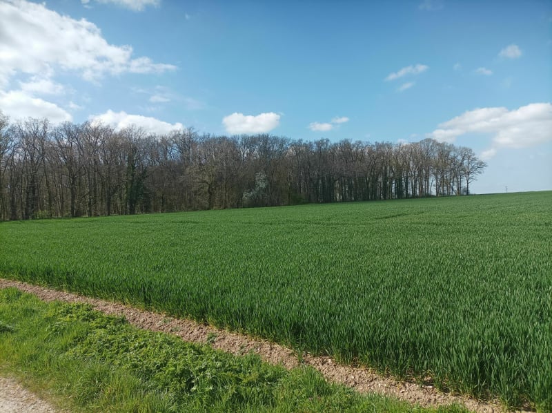 Balade le long de l'Eure - Chartres