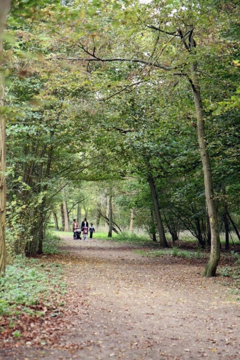 Balade le long de l’Oise et étang de Neuville - Saint-Ouen-l'Aumône