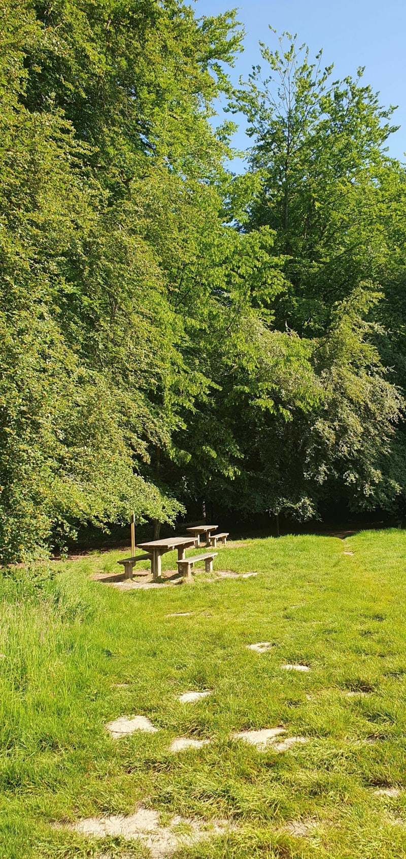 Marche nordique la Bretèque Isneauville - Bois-Guillaume
