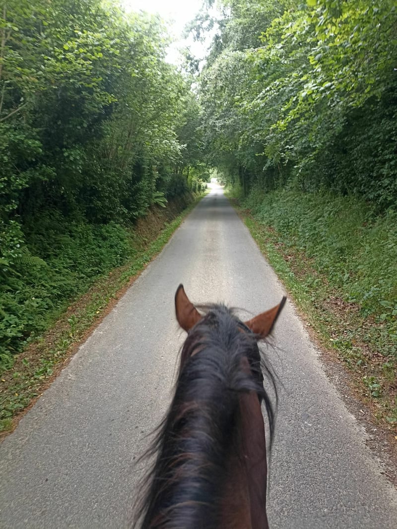 Parcours de 12km à Brix - Brix