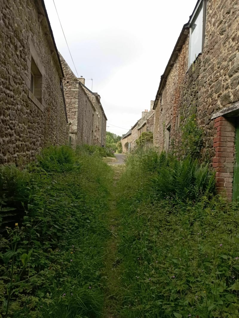 Sur les pas de Châteaubriant - Plancoët