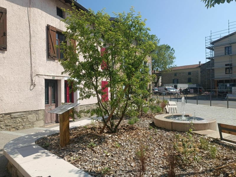 Balade autour de Saint Lo' - Saint-Laurent-d'Agny