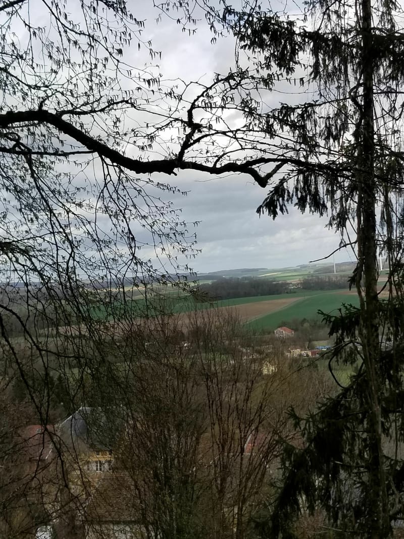Balade champêtre en Argonne - Châtel-Chéhéry