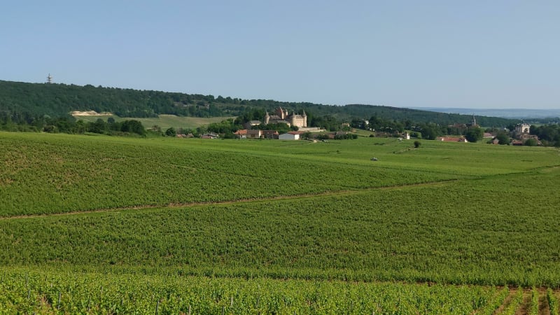 Entre Rully Aluze et Mercurey Départ de la forêt de Farges - Farges-lès-Chalon