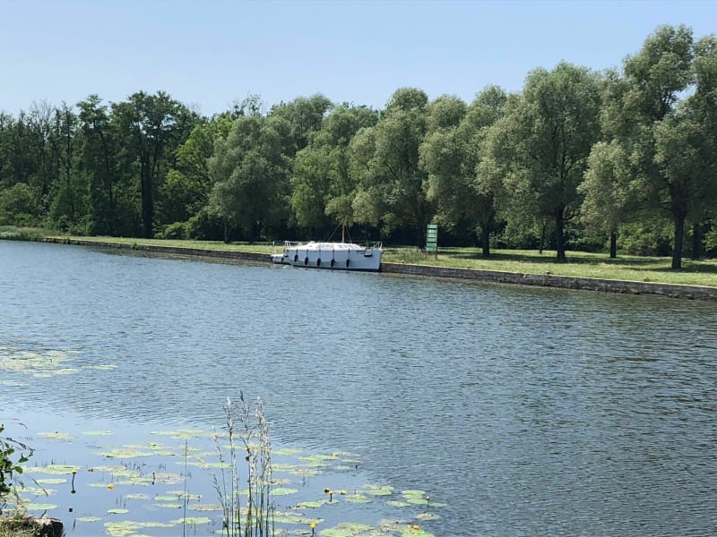 Balade autour de Mittersheim par l'Etang du Stock, à vélo - Mittersheim