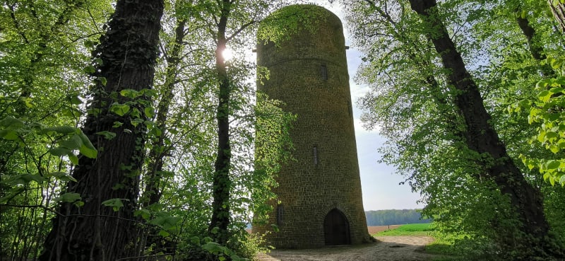 Le sentier du Loup - Berlencourt-le-Cauroy