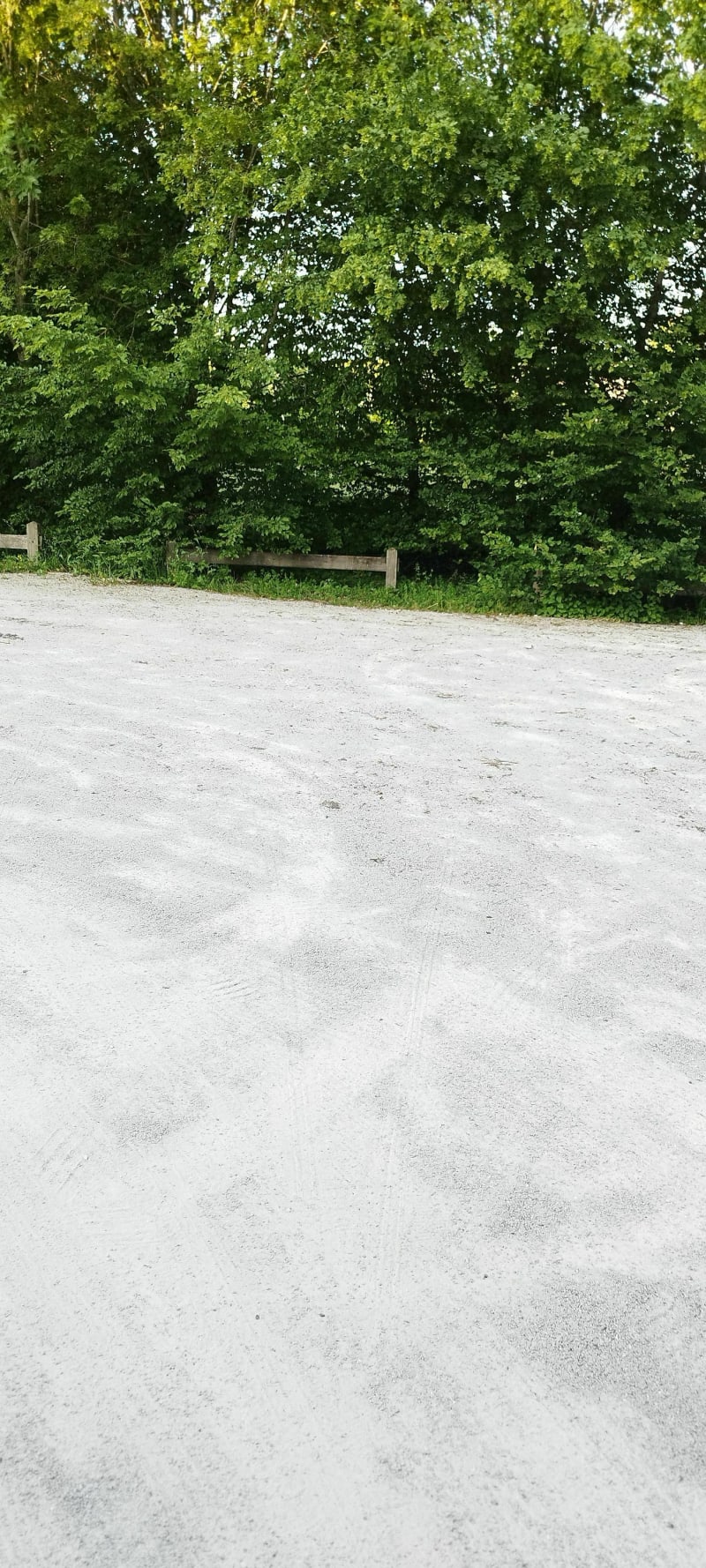 Balade tranquille au Parc des Grandes Brosses - Tours