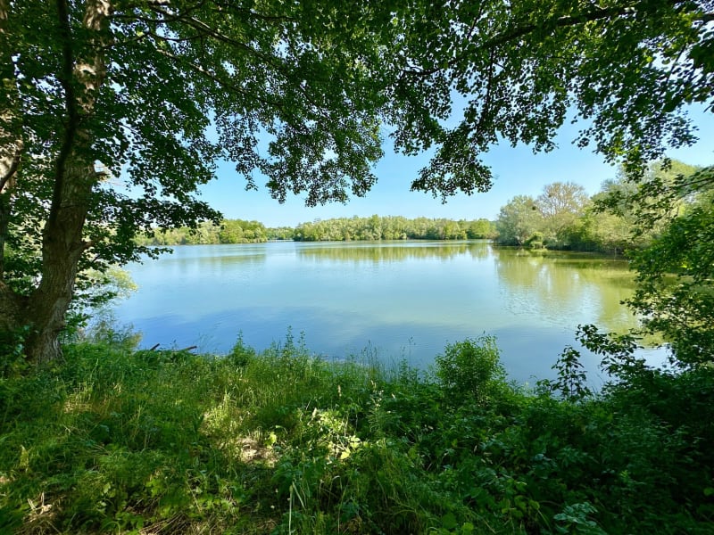 Balade entre forêt et bords de Seine depuis Rosny sur Seine - Rosny-sur-Seine