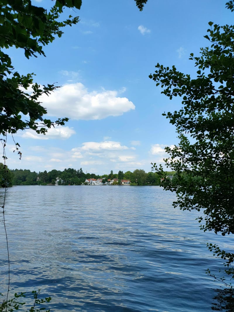 Petit balade au bord de l'Erdre - La Chapelle-sur-Erdre