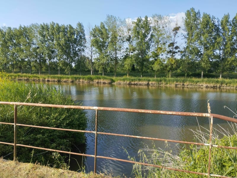 Balade le long du canal de la Martinière à partir du Bac - Le Pellerin