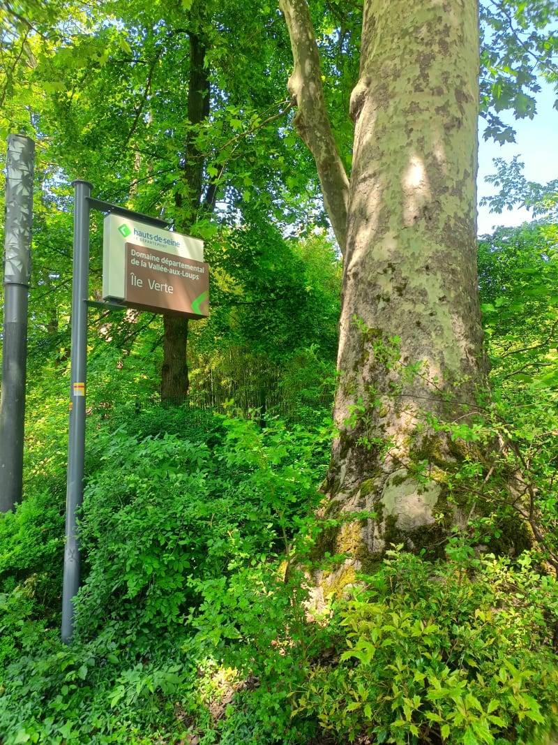 Charmante visite à l'Île Verte et l'Arborètum - Châtillon
