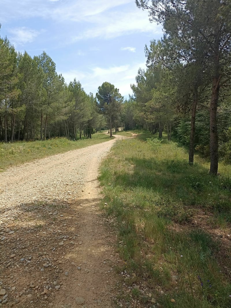 Belle balade entre Castelnau et Clapiers en vtc - Clapiers