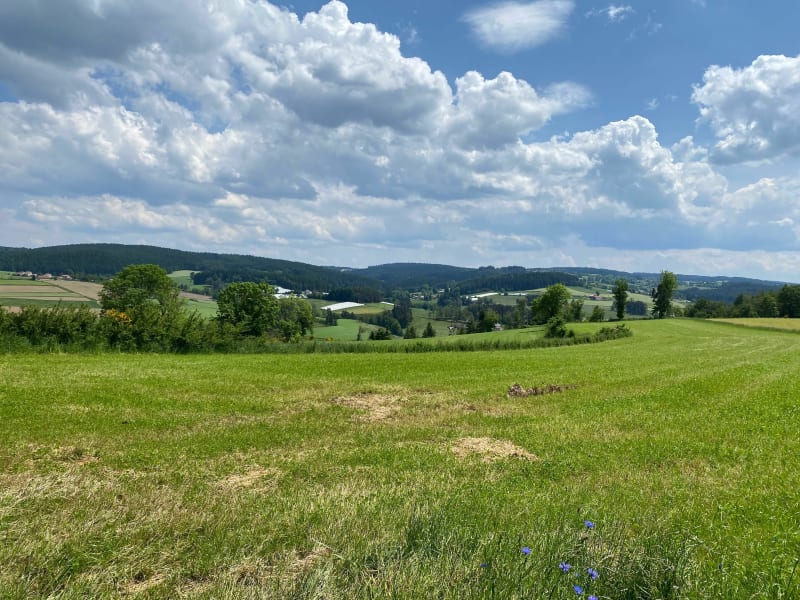 La vallonnée du Velay - Saint-Didier-en-Velay