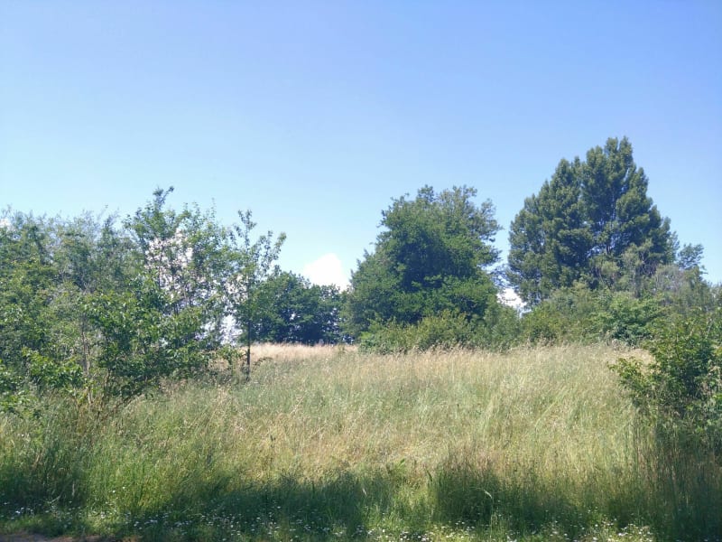 Balade au lac de la Ramée - Tournefeuille