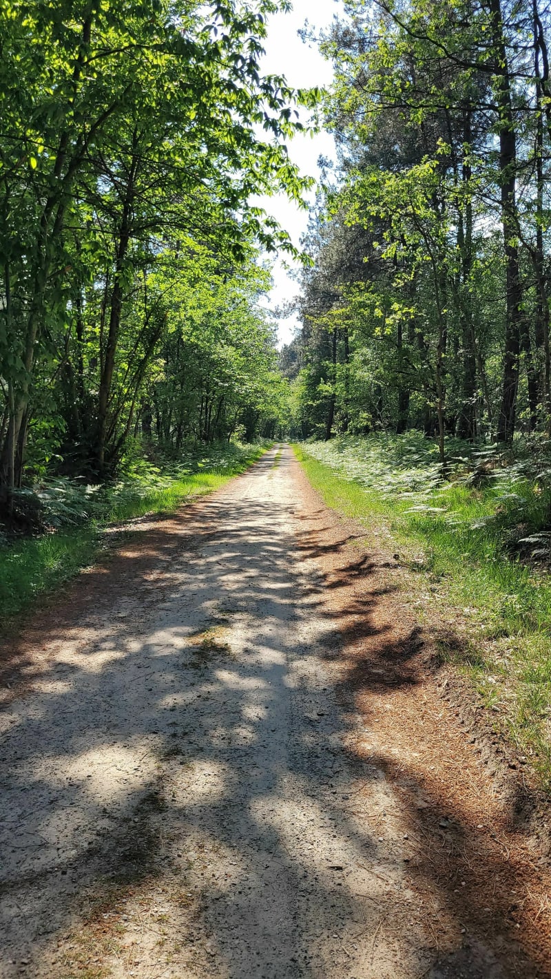 De la nature et des découvertes par le Lac de Malagué et Jarzé à vélo - Jarzé Villages