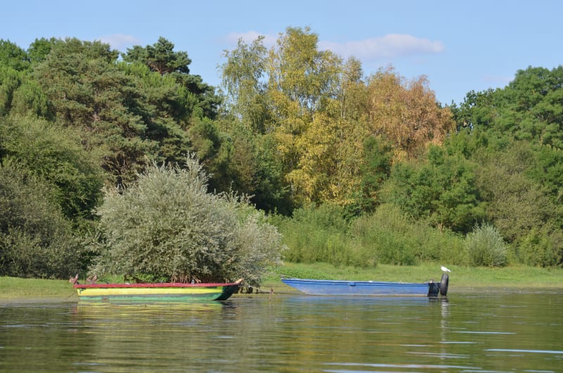 Circuit du Lac de Vioreau - Nort-sur-Erdre