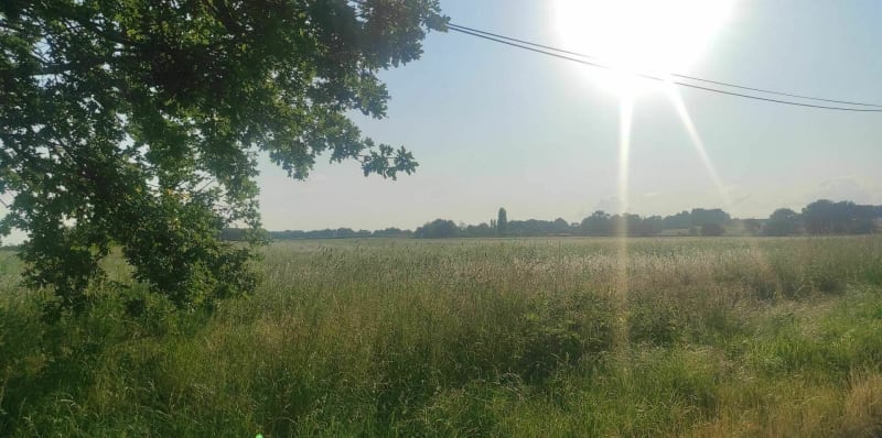 Balade à Saint Hilaire de Court - Saint-Hilaire-de-Court