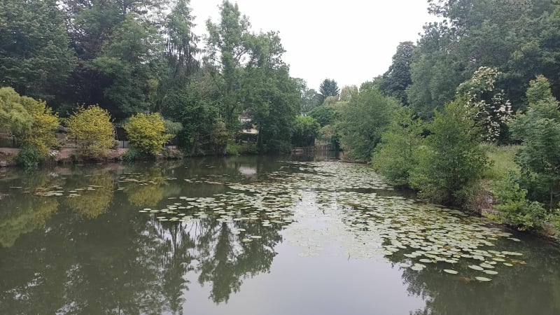 Entre sport et sérénité à Brunoy - Brunoy