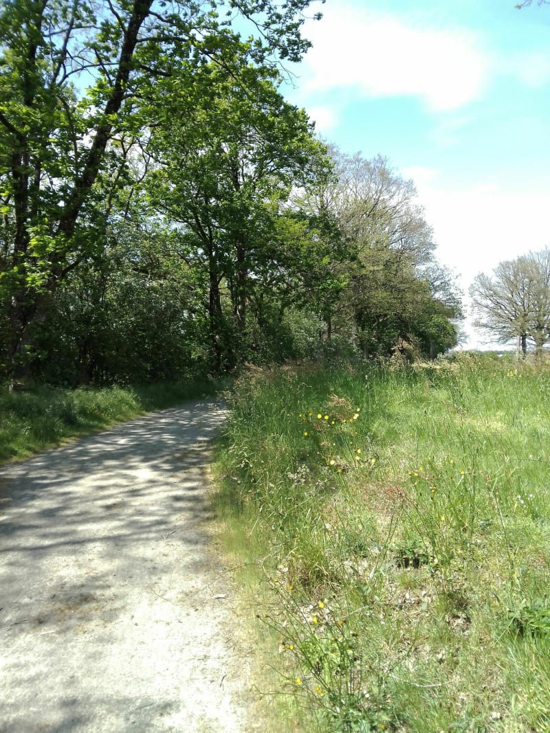 Sur le chemin de notre panier Bio - Montsûrs