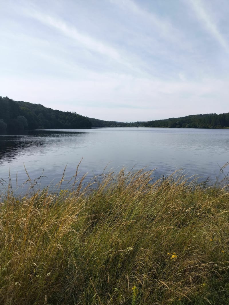Balade autour du lac du Broussau - Aire-sur-l'Adour