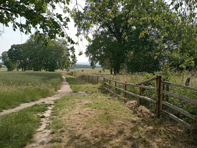 Balade dans les champs et forêt de l'Hautil - Jouy-le-Moutier