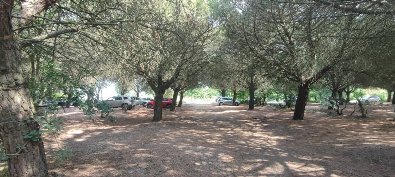 VTT Bois de pin - Dompierre-sur-Mer