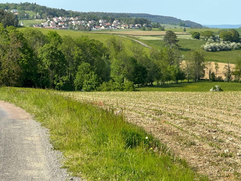 Balade tranquille à Euffigneix - Euffigneix