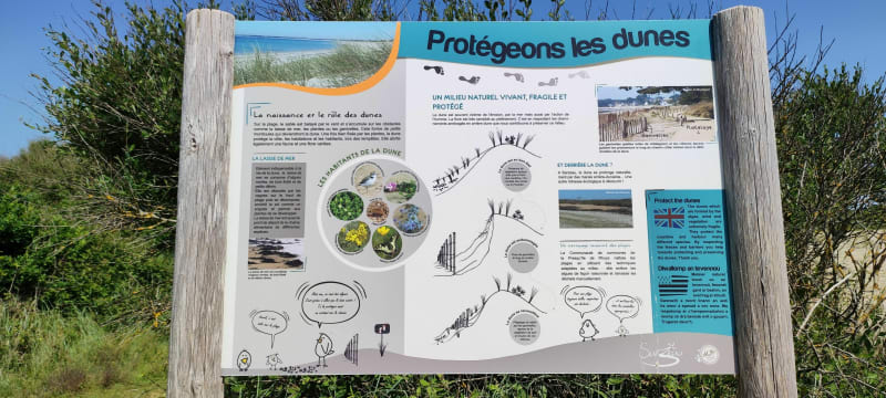 Sur le bord de l'océan à Penvins - Sarzeau