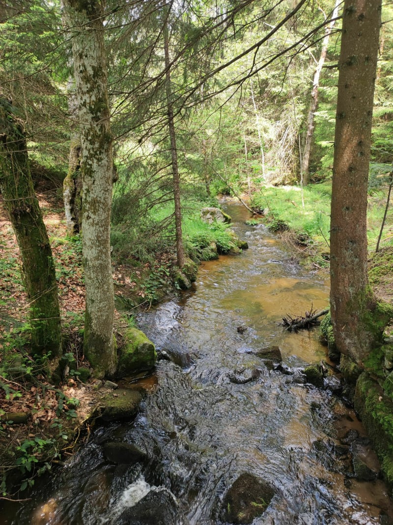 La randonnée aux mille ruisseaux - Saint-Régis-du-Coin
