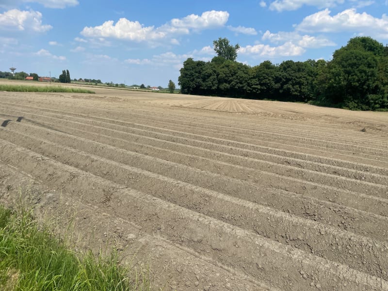 Balade champêtre entre Roncq et Bousbecque - Roncq