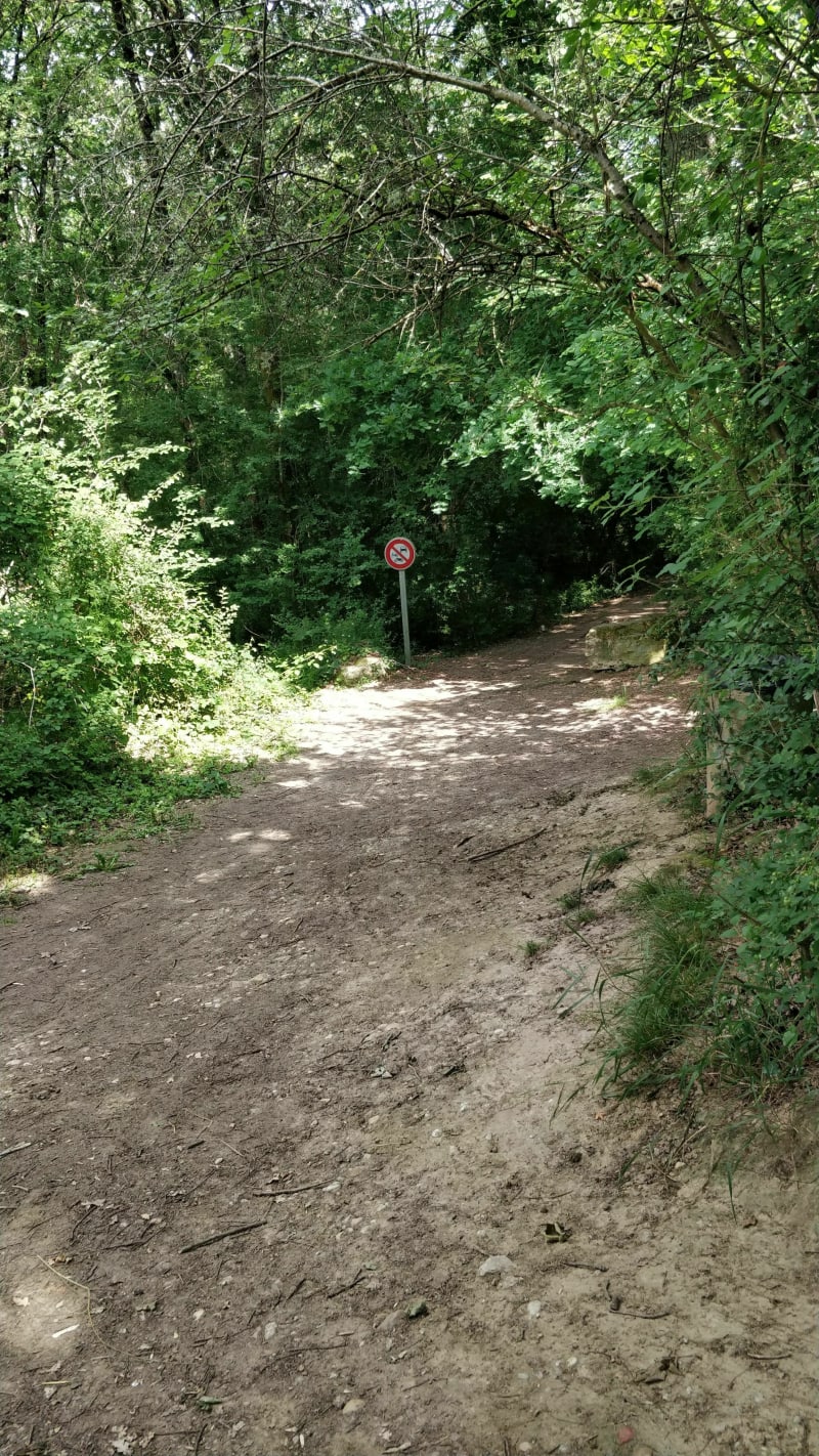 VTT dans les sentiers forestiers du grand Montauban - Montauban
