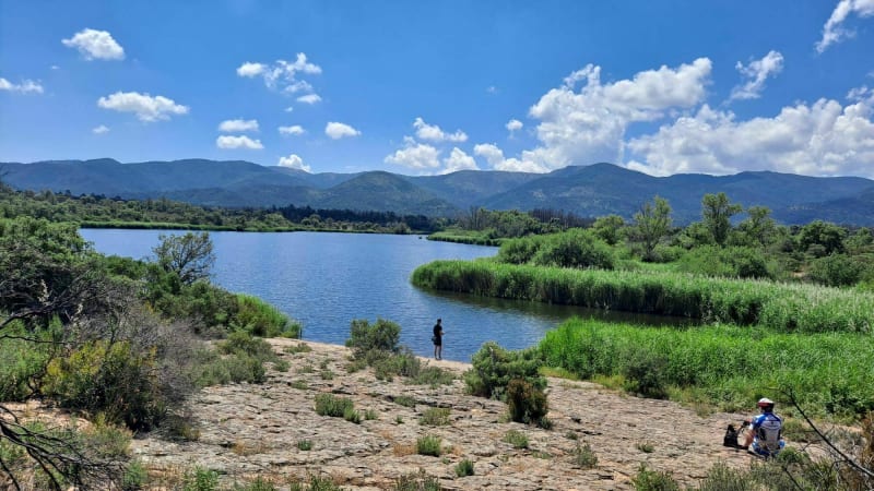 Lac des Escarcets - Gonfaron
