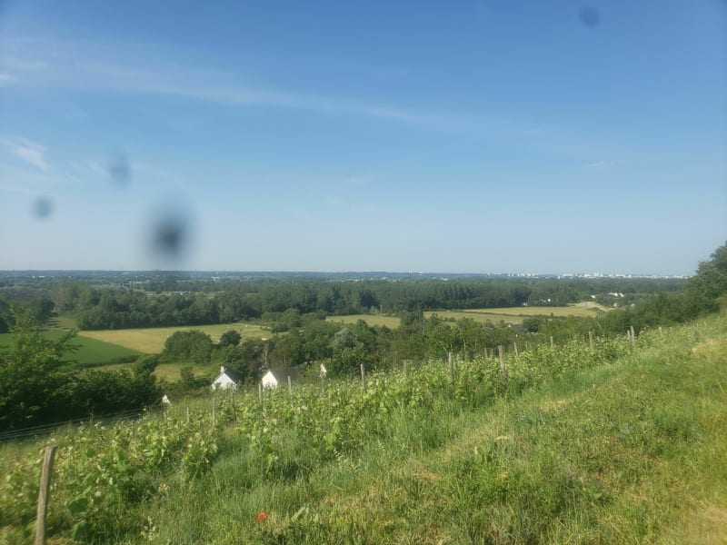 49 km sympas dans les vignes de Chançay - Chançay