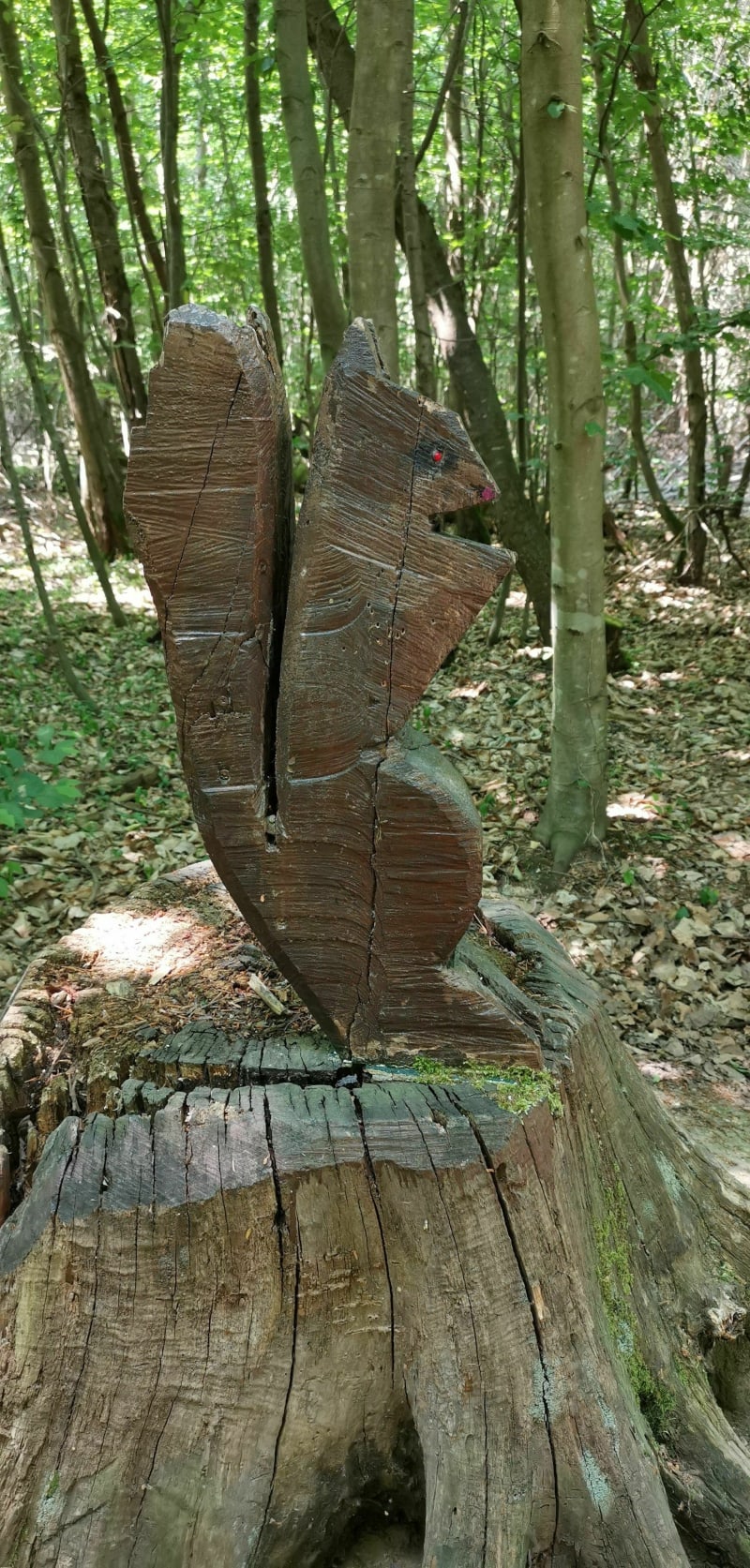 Entre forêt et canal à Brumath - Brumath