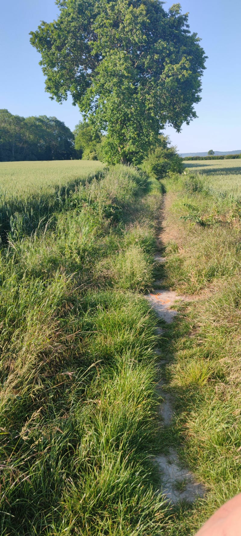 Balade autour d'Houchin - Houchin