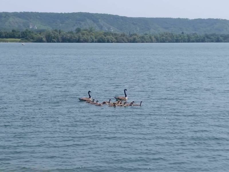 La Seine à vélo entre Val-de-Reuil et Saint-Aubin-les-Elbeuf - Val-de-Reuil