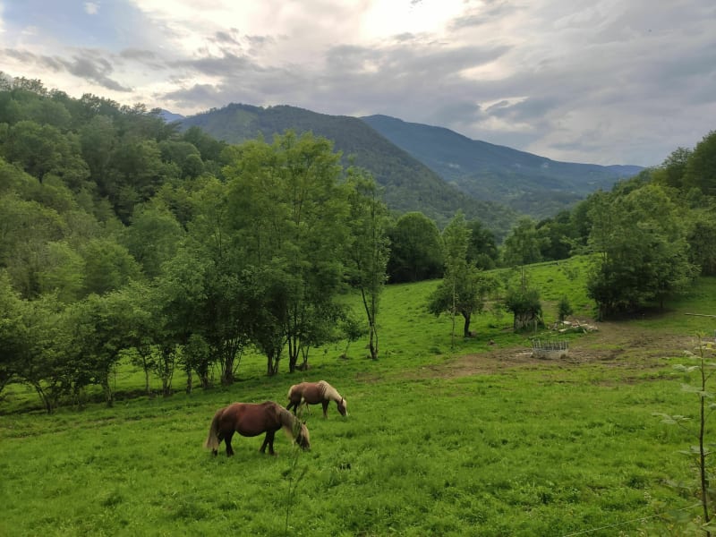 Uitzicht op de Cheval en Mont Valier - Seix
