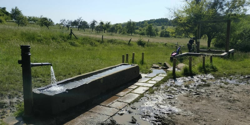 Soultzerkopf / Pfaffenschlick par Petit-Wingen - Preuschdorf