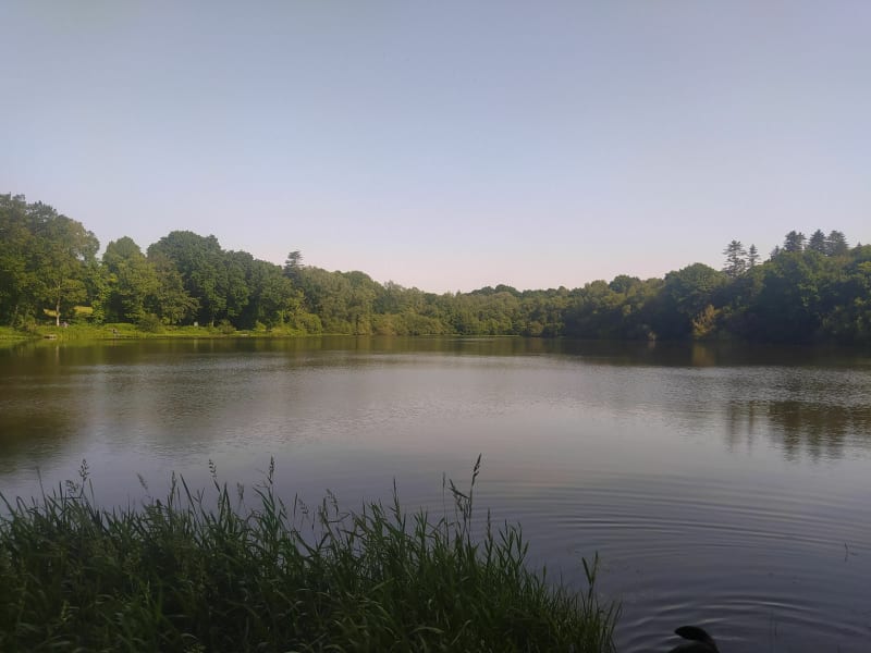 Balade à Laurenan - Plémet