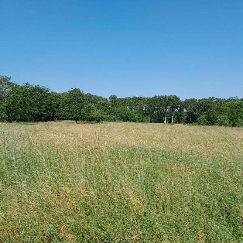 Petite balade dans la campagne de Verrières - Verrières