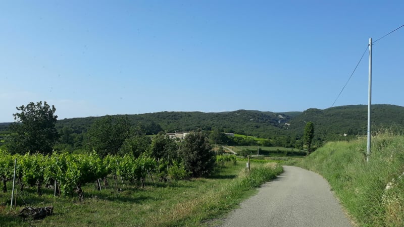 Grande boucle de Saint Montan - Larnas - Ellieux - Saint-Montan