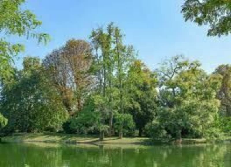 Vers le bois de Boulogne au départ de Pont Cardinet - Paris