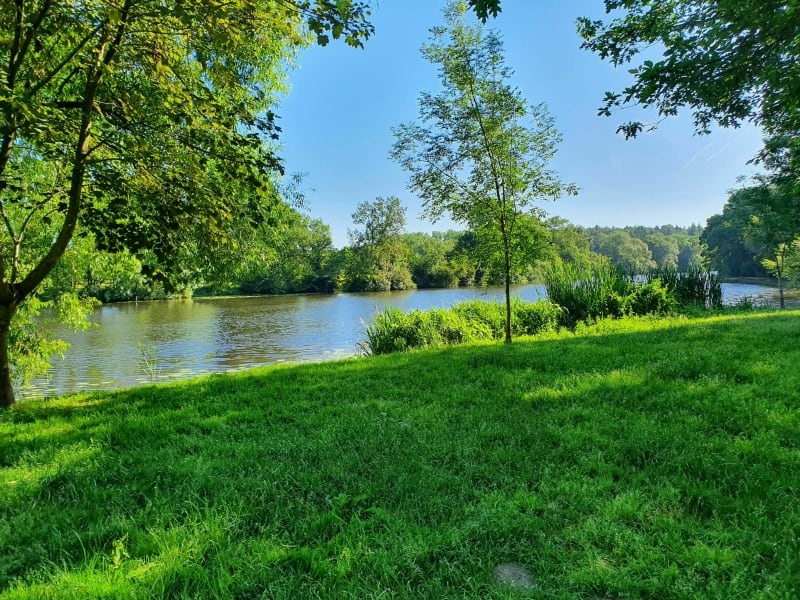 Balade sur les bords de Sèvre nantaise - Vallet