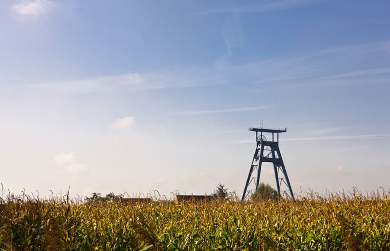 Les 3 terrils de Roost-Warendin - Roost-Warendin